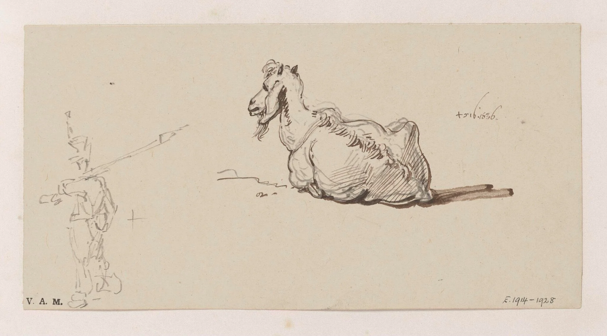 A goat, and a soldier, detail