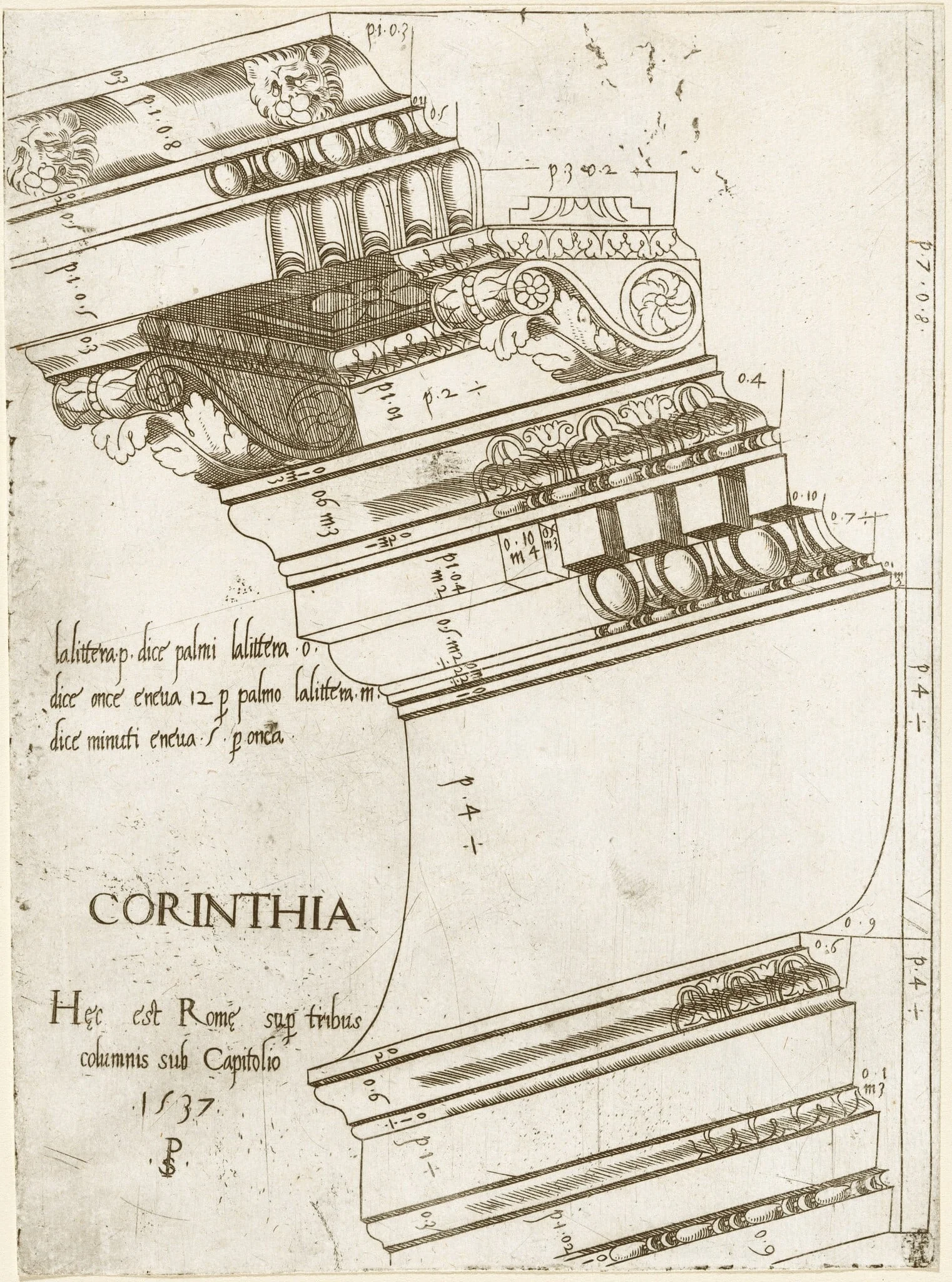 Entablature from the Temple of Vespasian, Rome, detail
