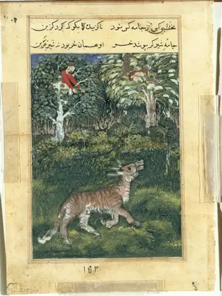 The donkey, in a tiger’s skin, reveals his identity by braying aloud, from a Tuti-nama (Tales of a Parrot): Thirty-first Night, by Basawan, unspecified, 1560