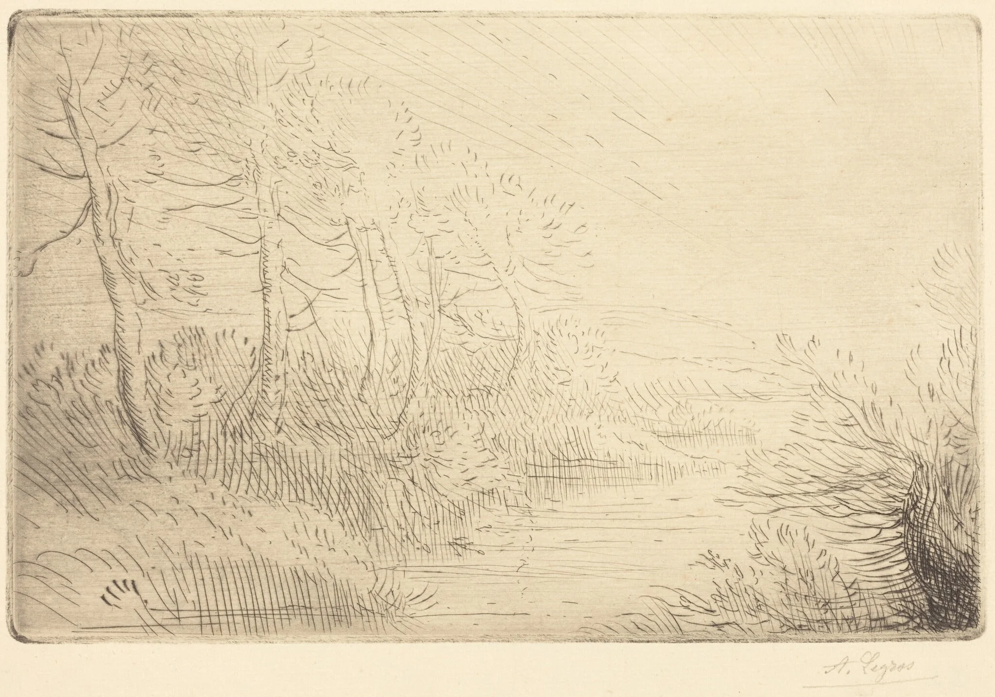 Riverbank (Bord de la riviere), detail