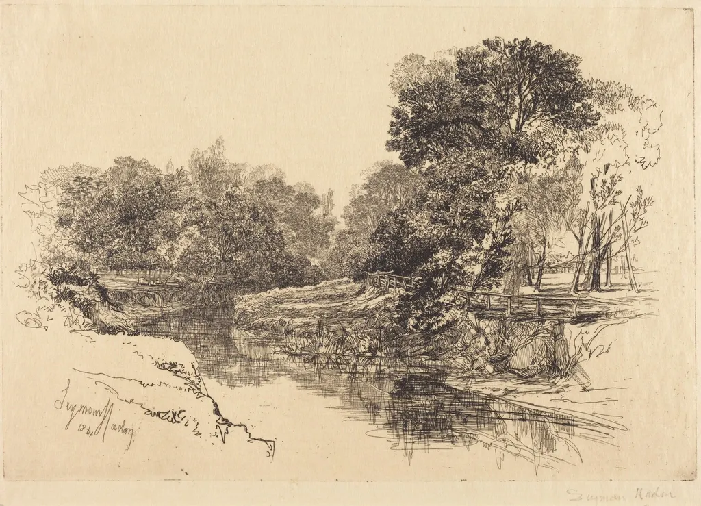 A River in Ireland, by Francis Seymour Haden, ink, 1864