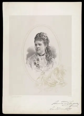 H Beard Print Collection, by E. Matthews & Sons, 1877