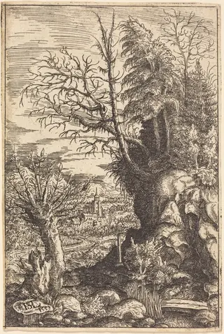 Landscape with a Willow, by Hanns Lautensack, ink, 1553