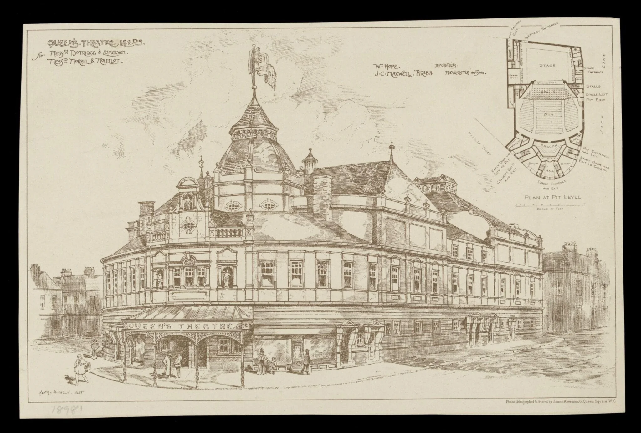 H Beard Print Collection, detail