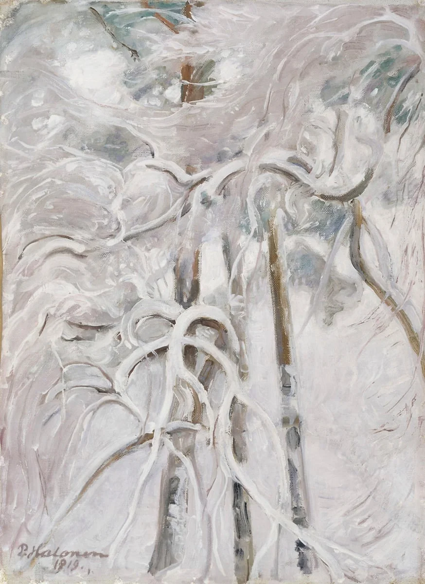 Luminen mänty, detail