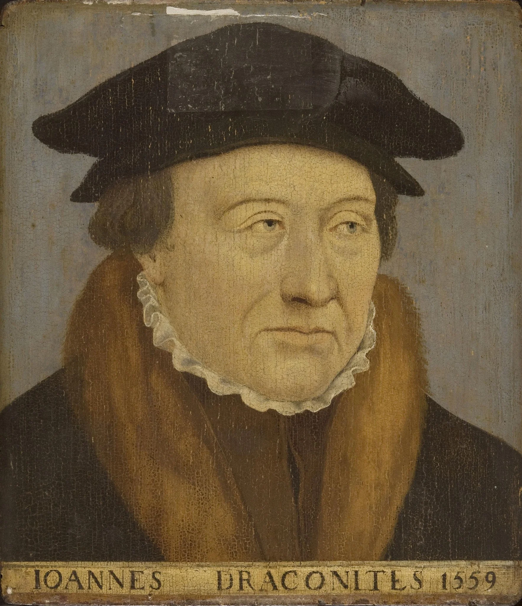 Portrait of Johannes Draconites, detail