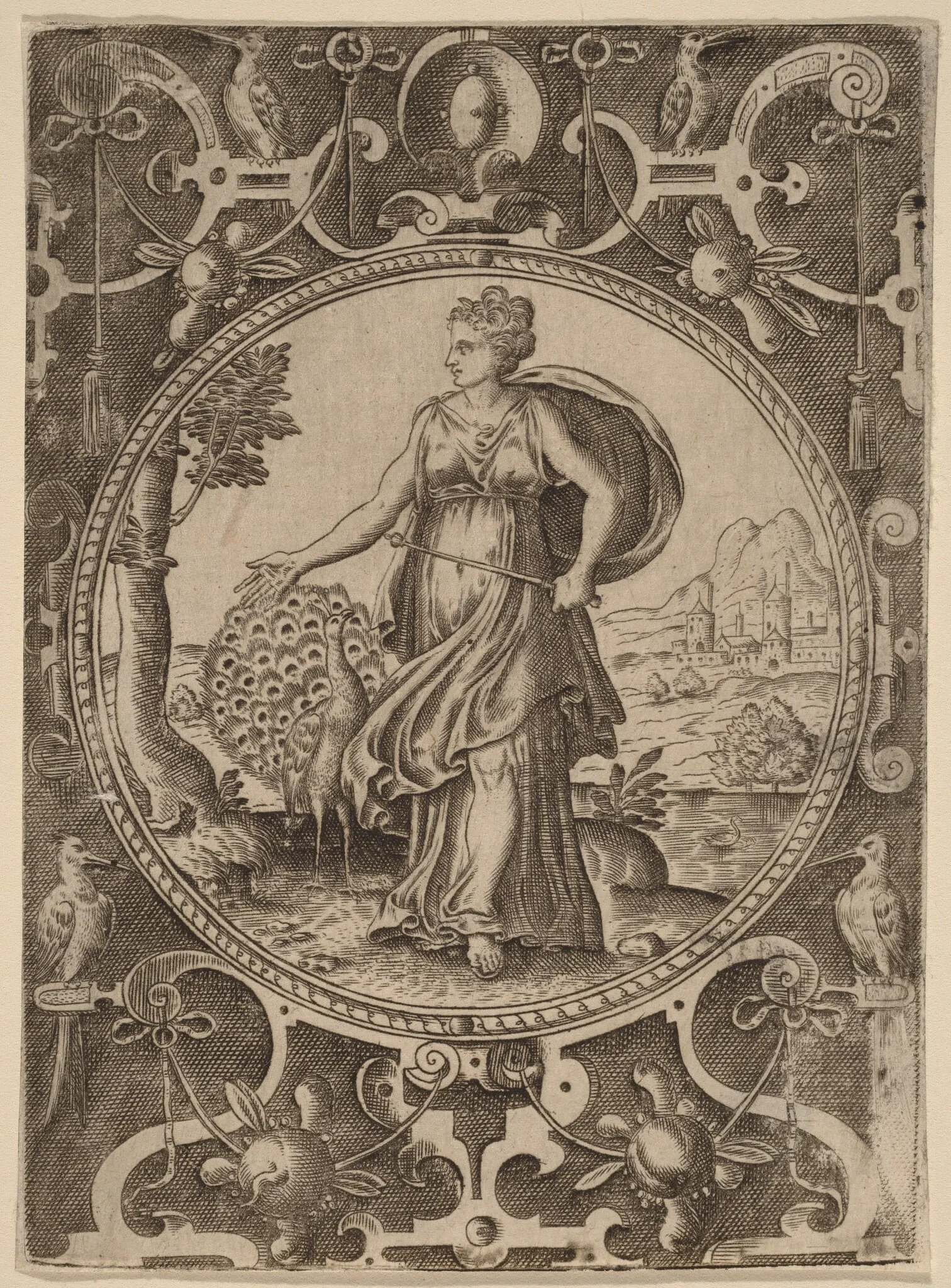 Juno, detail