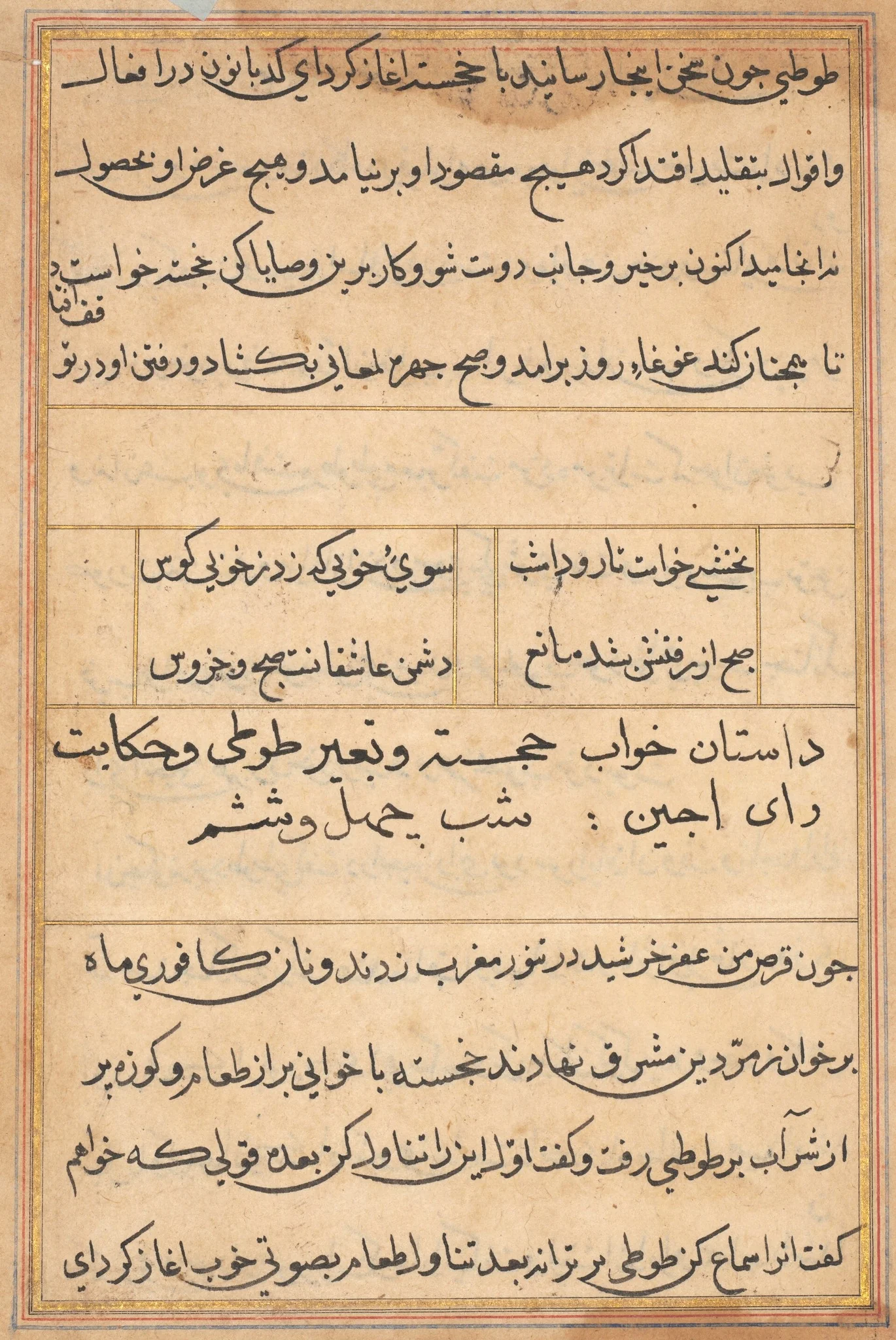 Page from Tales of a Parrot (Tuti-nama): text page, detail