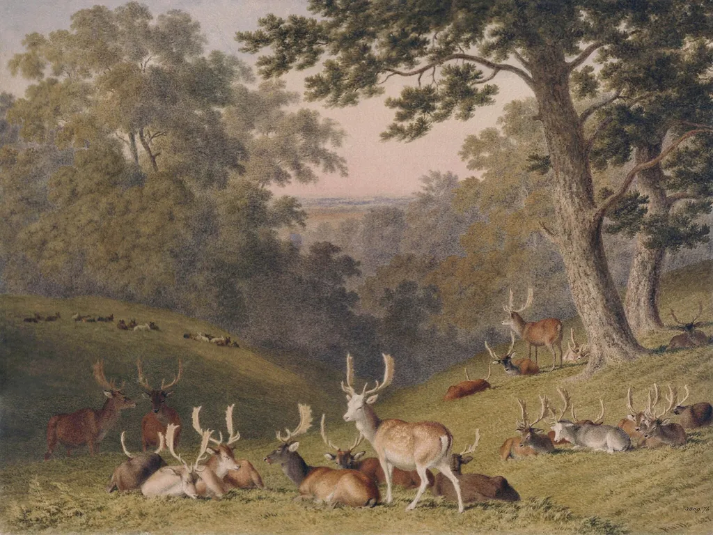 Stags in Knole Park, near Sevenoaks, Kent, by Robert Hills, watercolor, 1827