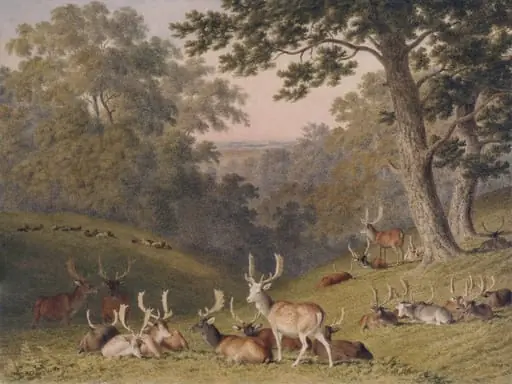 Stags in Knole Park, near Sevenoaks, Kent, by Robert Hills, watercolor, 1827