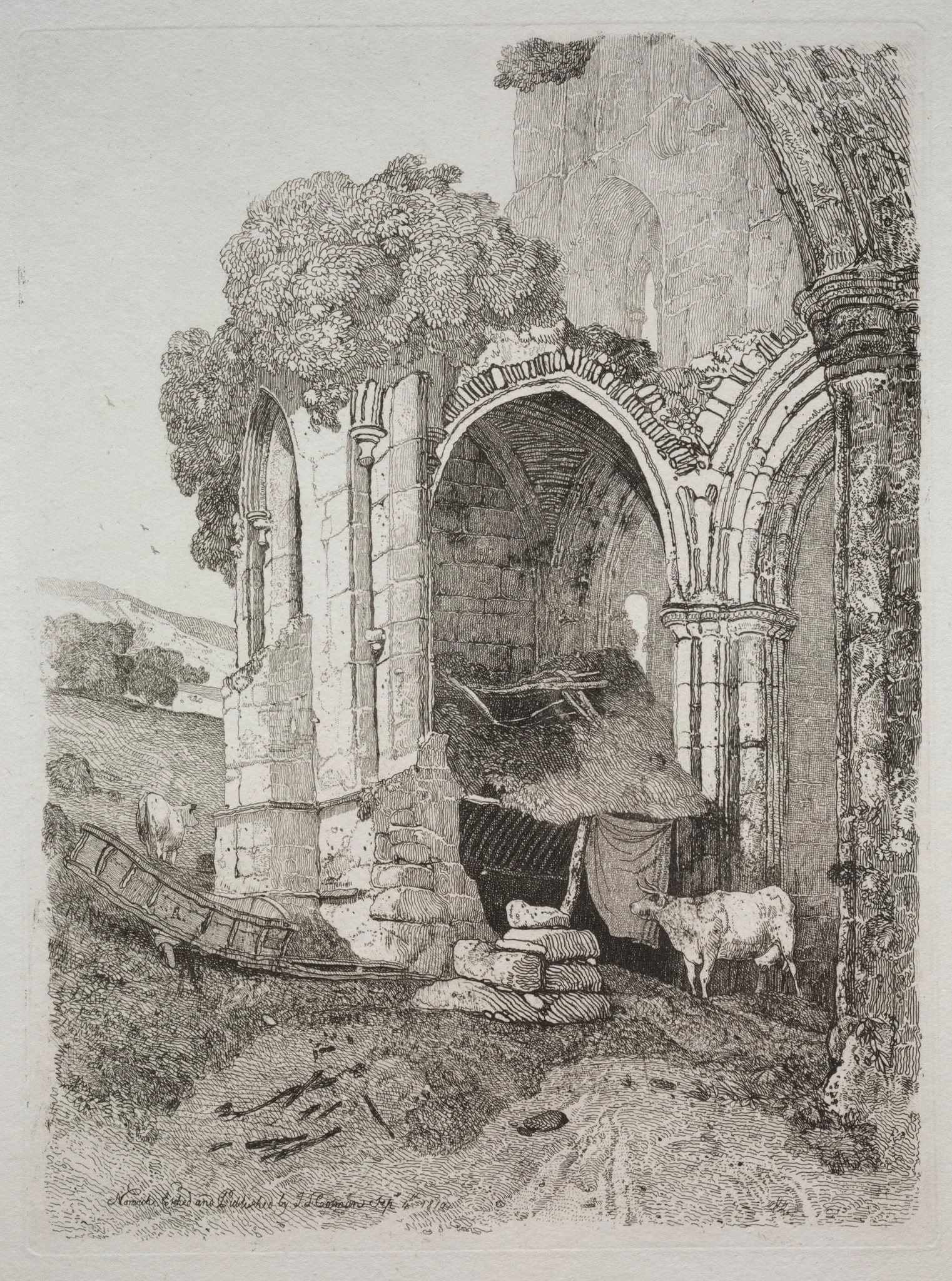 Rievaulx Abbey, Yorkshire, detail