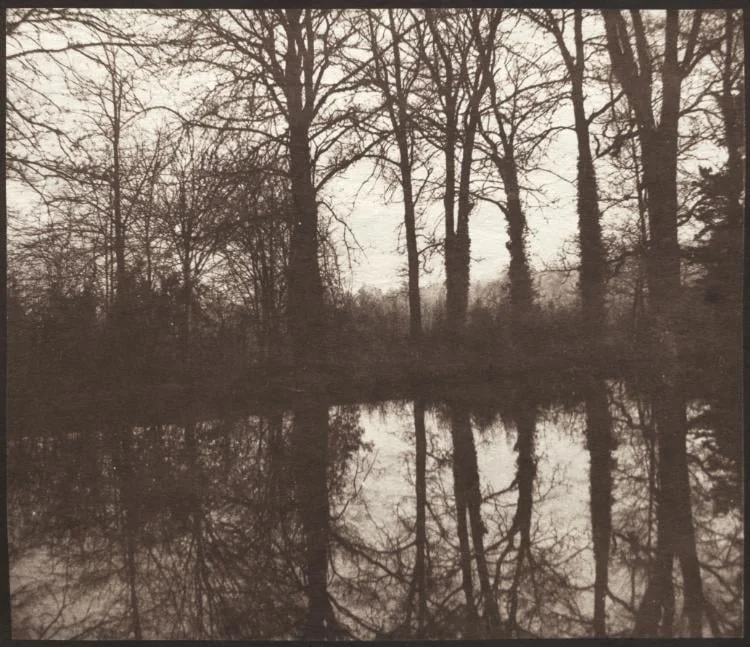 Winter Trees Reflected in a Pond, detail