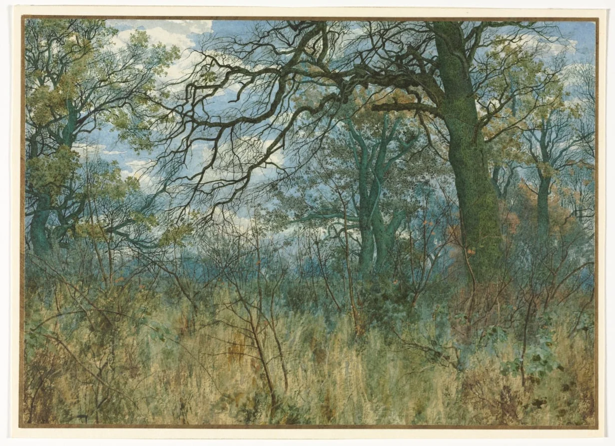 Trees and Undergrowth, detail