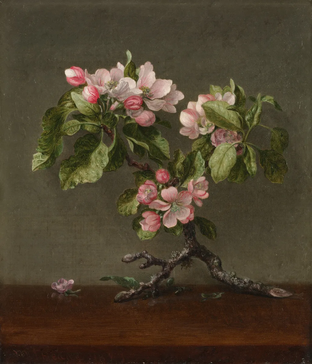 Apple Blossoms, by Martin Johnson Heade, oil, 1873