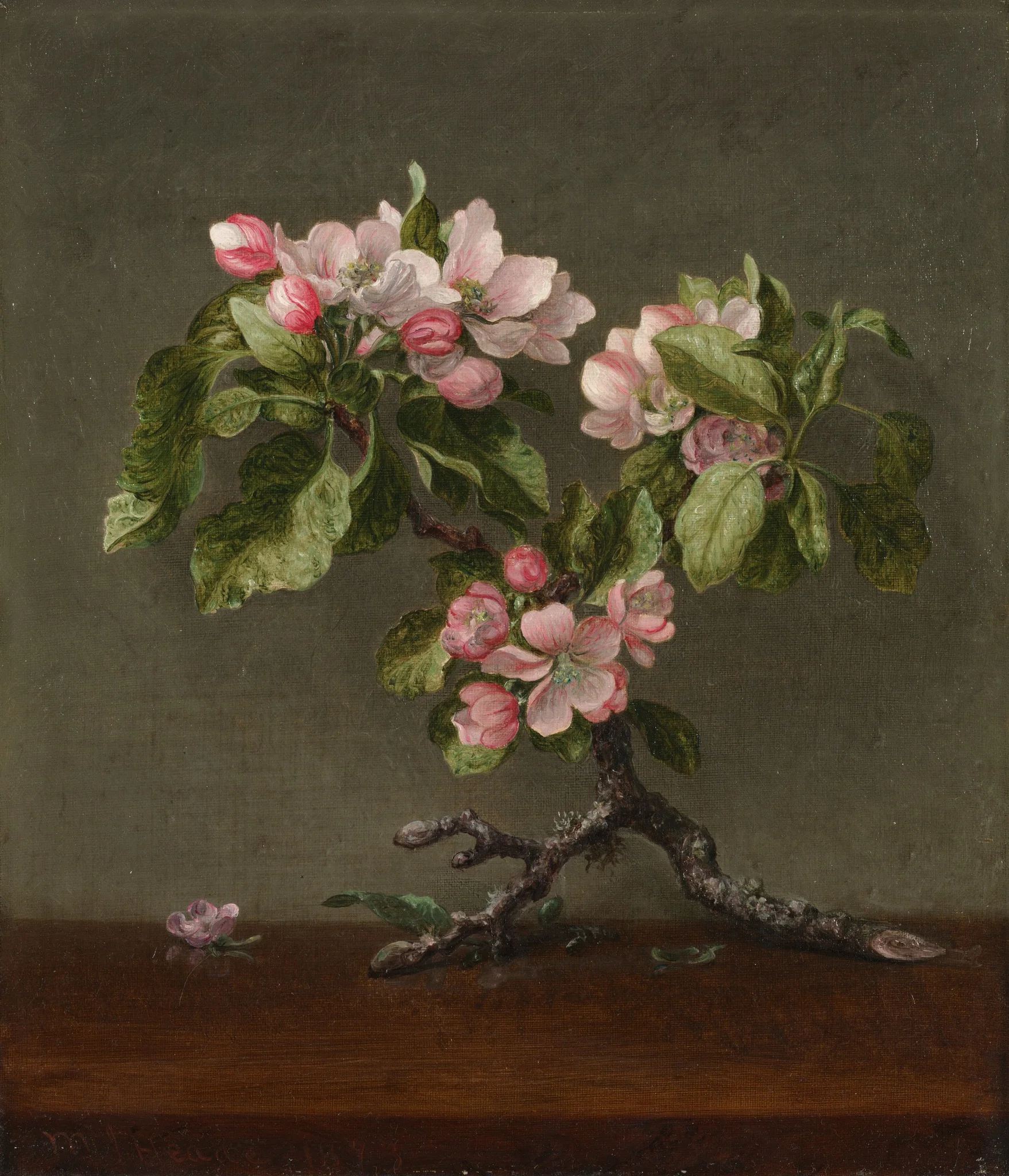 Apple Blossoms, detail