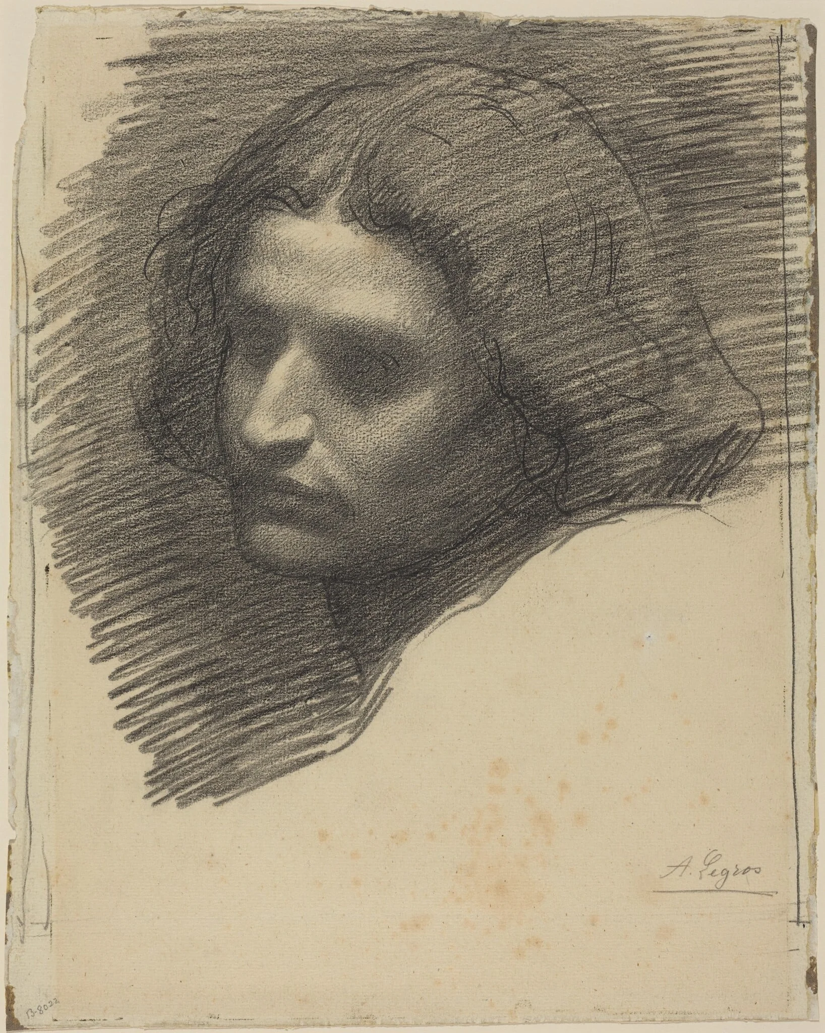 Head of a Man Facing Left [recto], detail