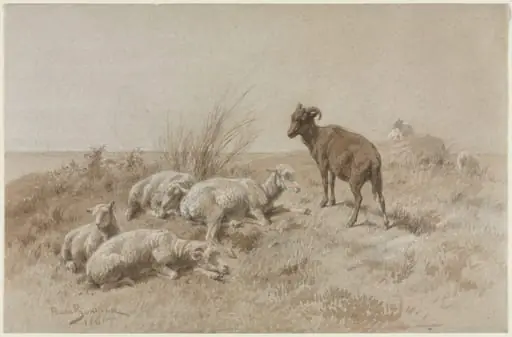 Sheep, by Rosa Bonheur, 1861
