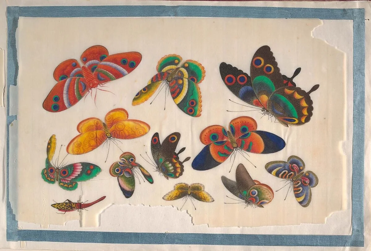 Untitled, detail
