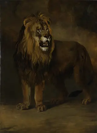 A lion from the Menagerie of King Louis Napoleon, 1808, by Pieter Gerardus van Os, oil, 1808