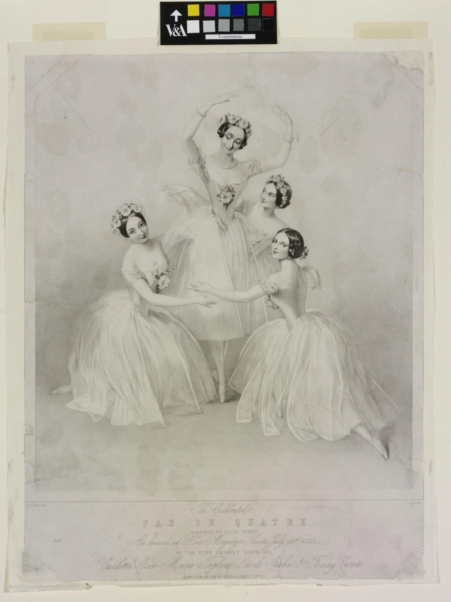 The Celebrated, detail