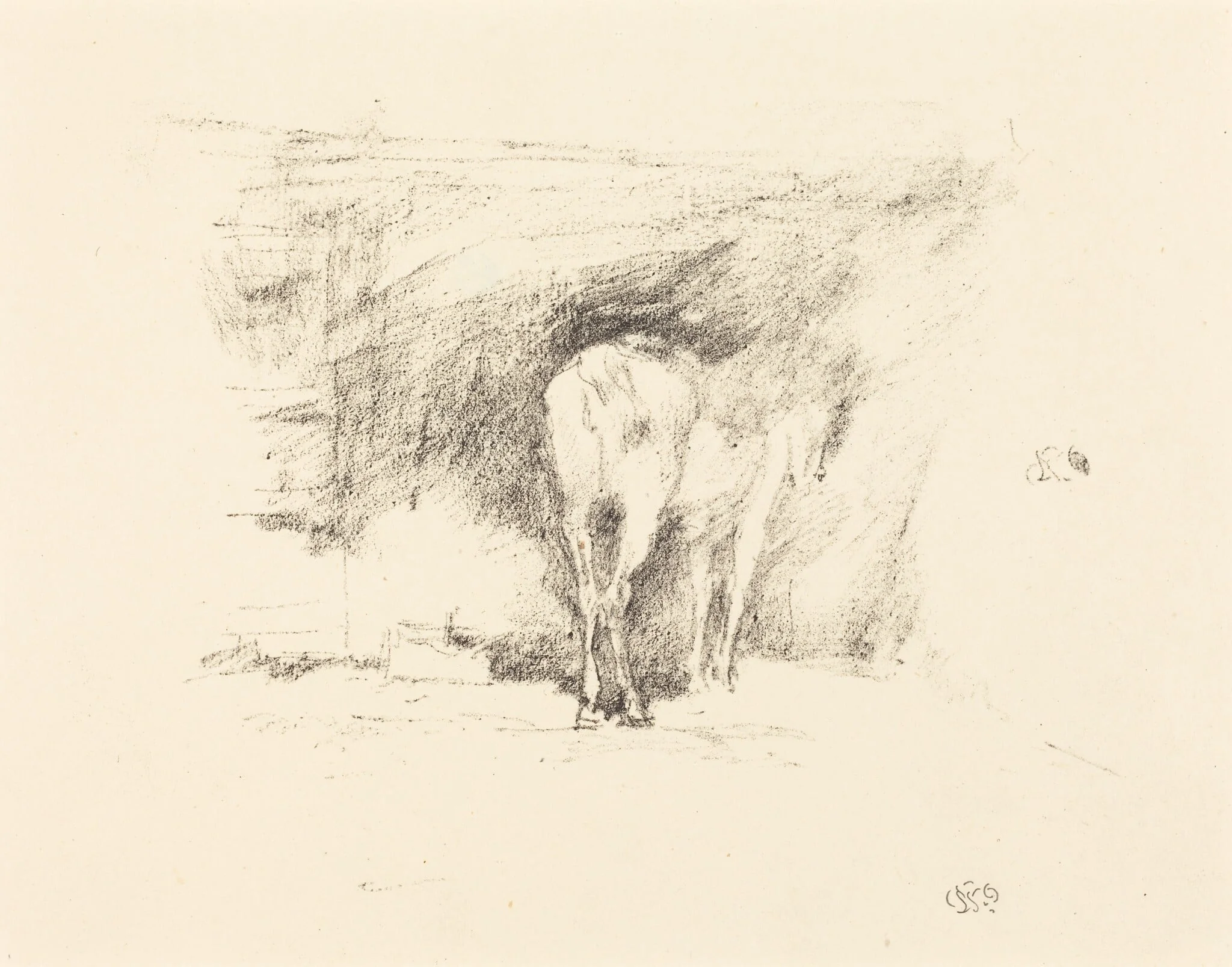 Study of a Horse, detail