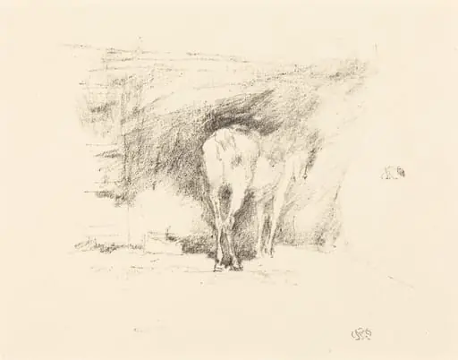 Study of a Horse, by James McNeill Whistler, ink, 1895