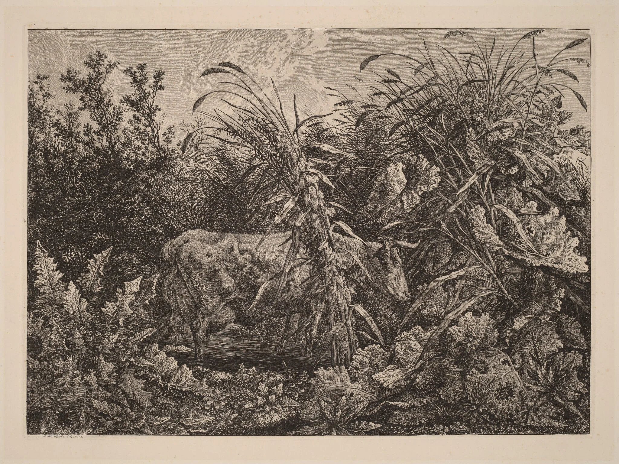 The Cow in the Swamp, detail
