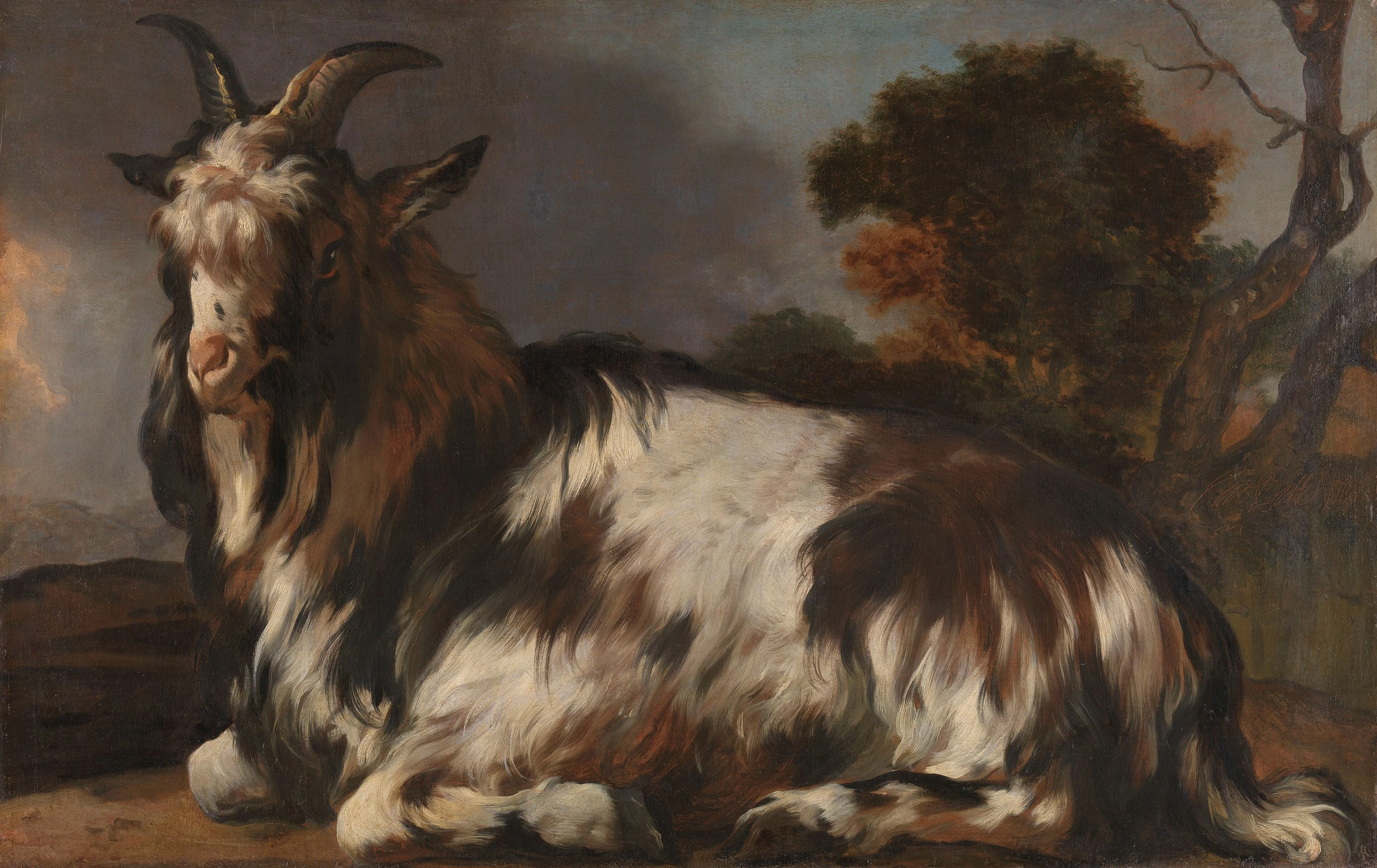 Goat Lying Down, detail