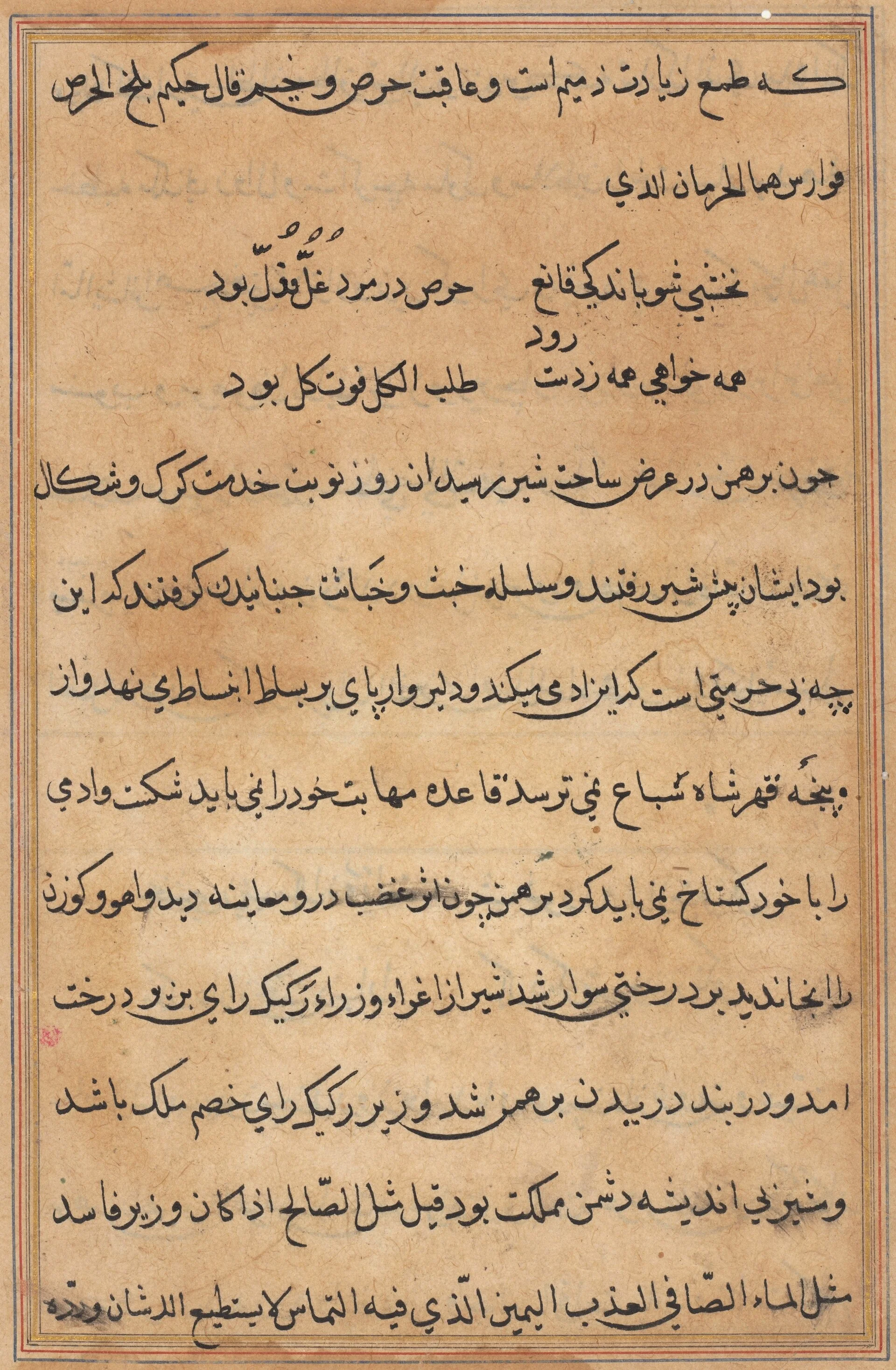 Page from Tales of a Parrot (Tuti-nama): text page, detail