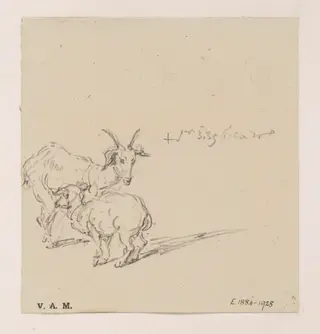 A goat and kid, by George Chinnery, 2