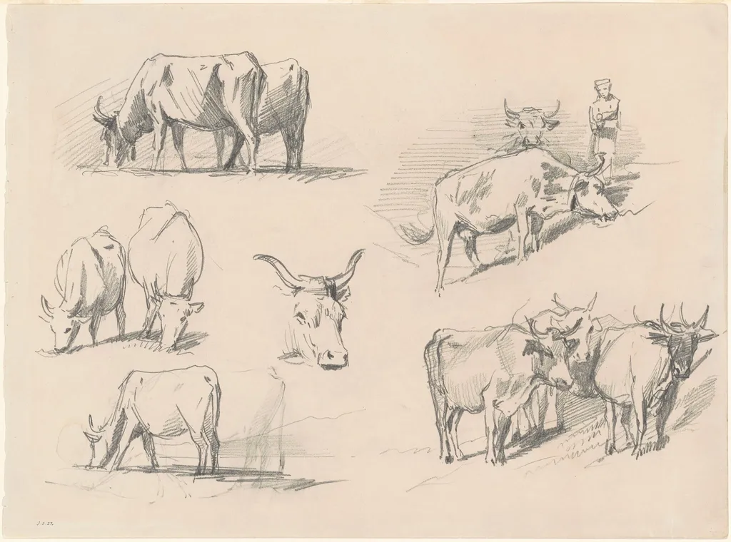 Studies of Cattle, by John Singer Sargent, graphite, 1872