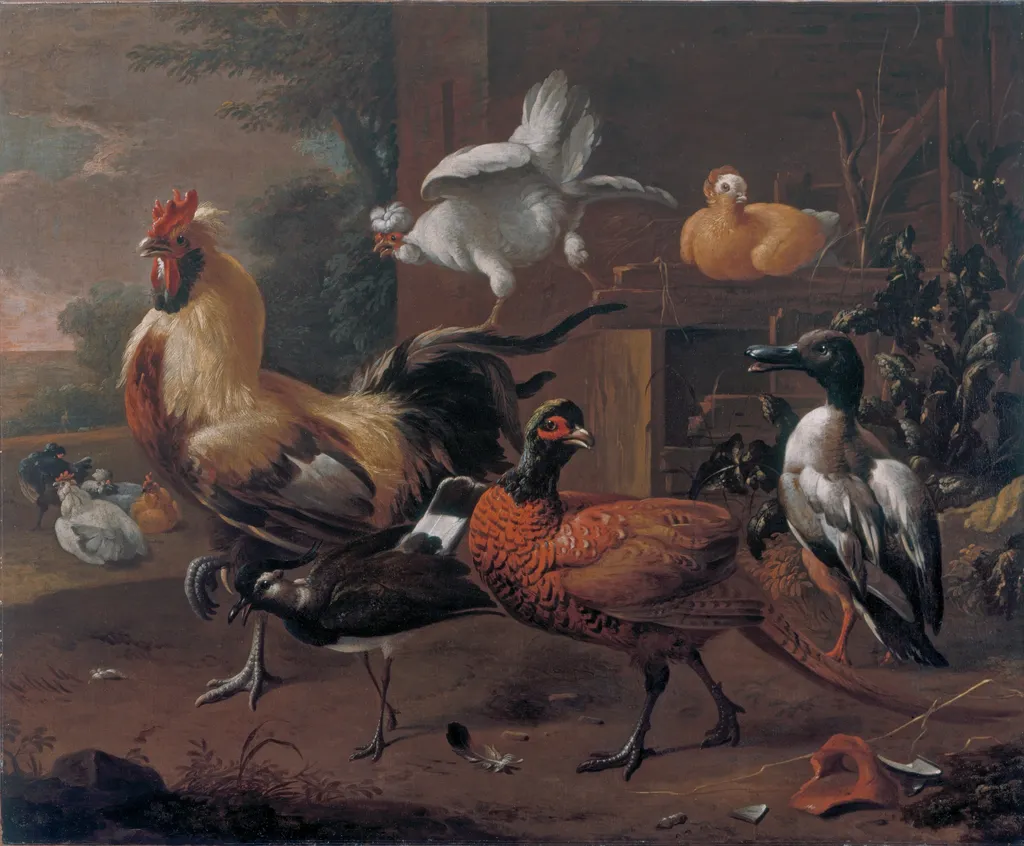 Poultry-yard, by Melchior d' Hondecoeter, oil, 1650