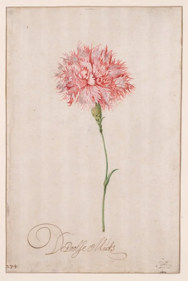 De Poolse Muts, detail
