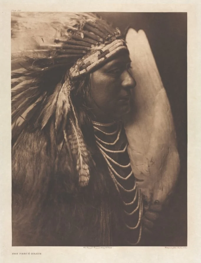 Portfolio VIII, Plate 263: Nez Percé Brave, detail