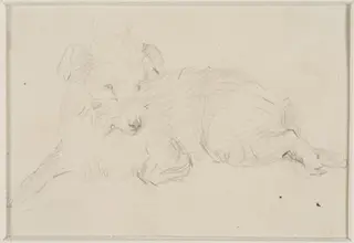 Sketch of a dog, by Thomas Sidney Cooper, 1850