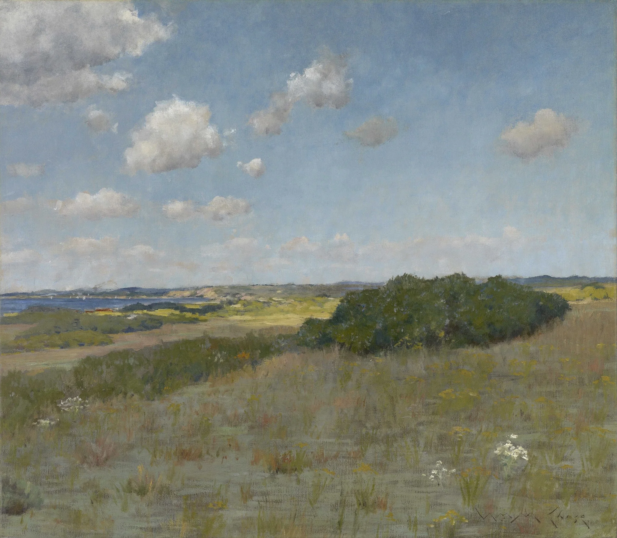 Sunlight and Shadow, Shinnecock Hills, detail