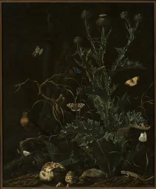 Thistles, butterflies and a lizard, by Abraham Begeyn, oil, 1677