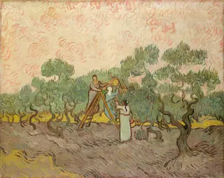 Women Picking Olives, by Vincent van Gogh, oil, 1889
