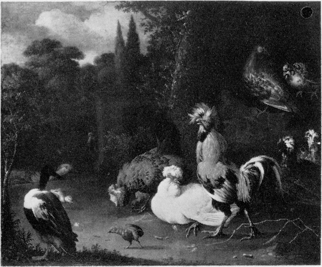 Poultry and ducks in a park, detail