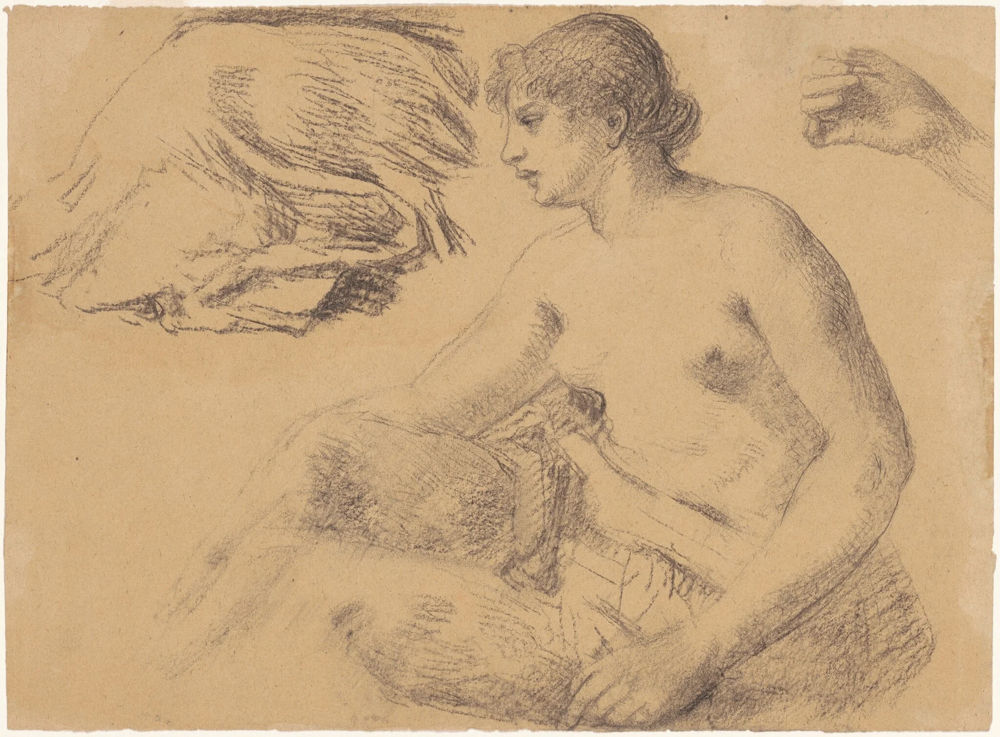Nude Study, detail
