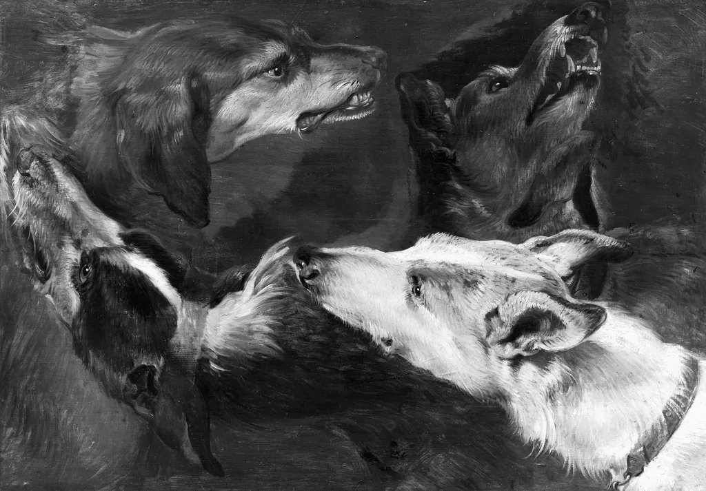 A study of four dogs, by Frans Snyders, oil, 1612