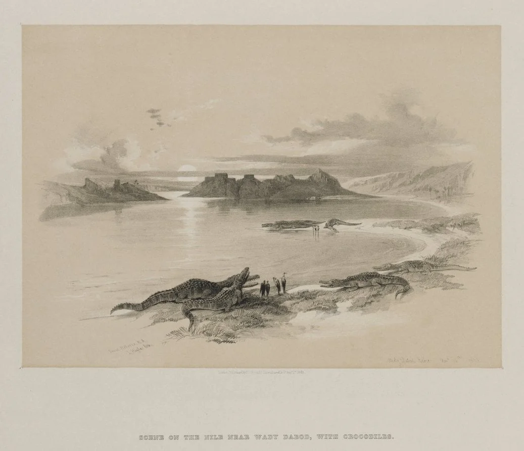 Egypt and Nubia, Volume II: Wady Dabod, Nubia, detail