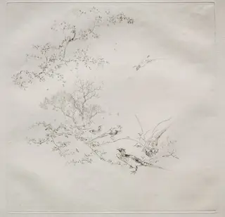 Parisian Service (Haviland service): Fog (no. 1), by Félix Bracquemond, 1875