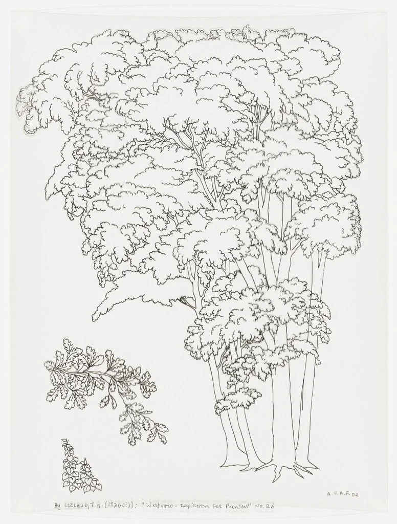 Untitled, detail