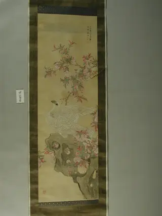 White Hawk, by Tsubaki Chinzan, unspecified, 1852