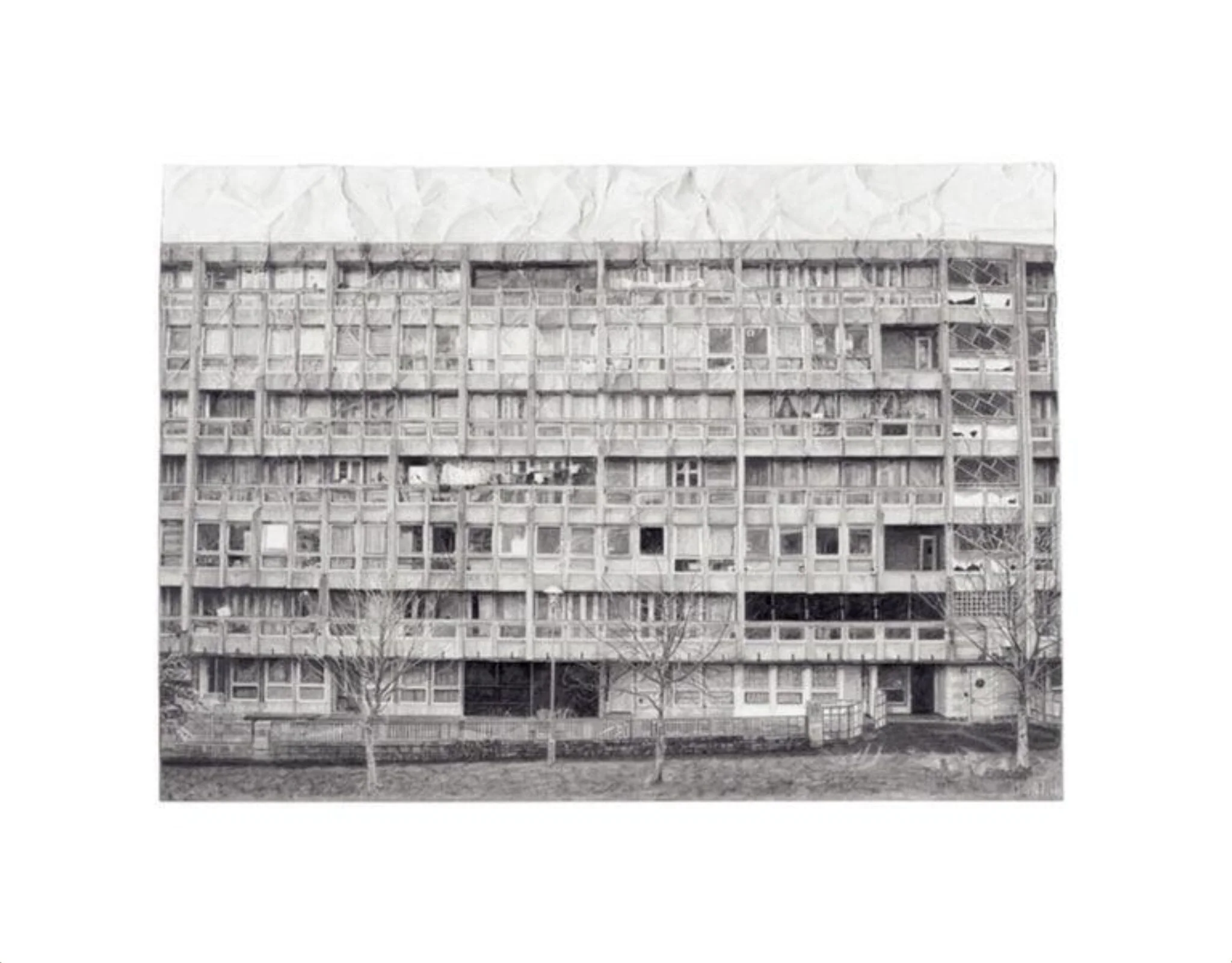 A Fall of Ordinariness and Light: The Order Land, detail