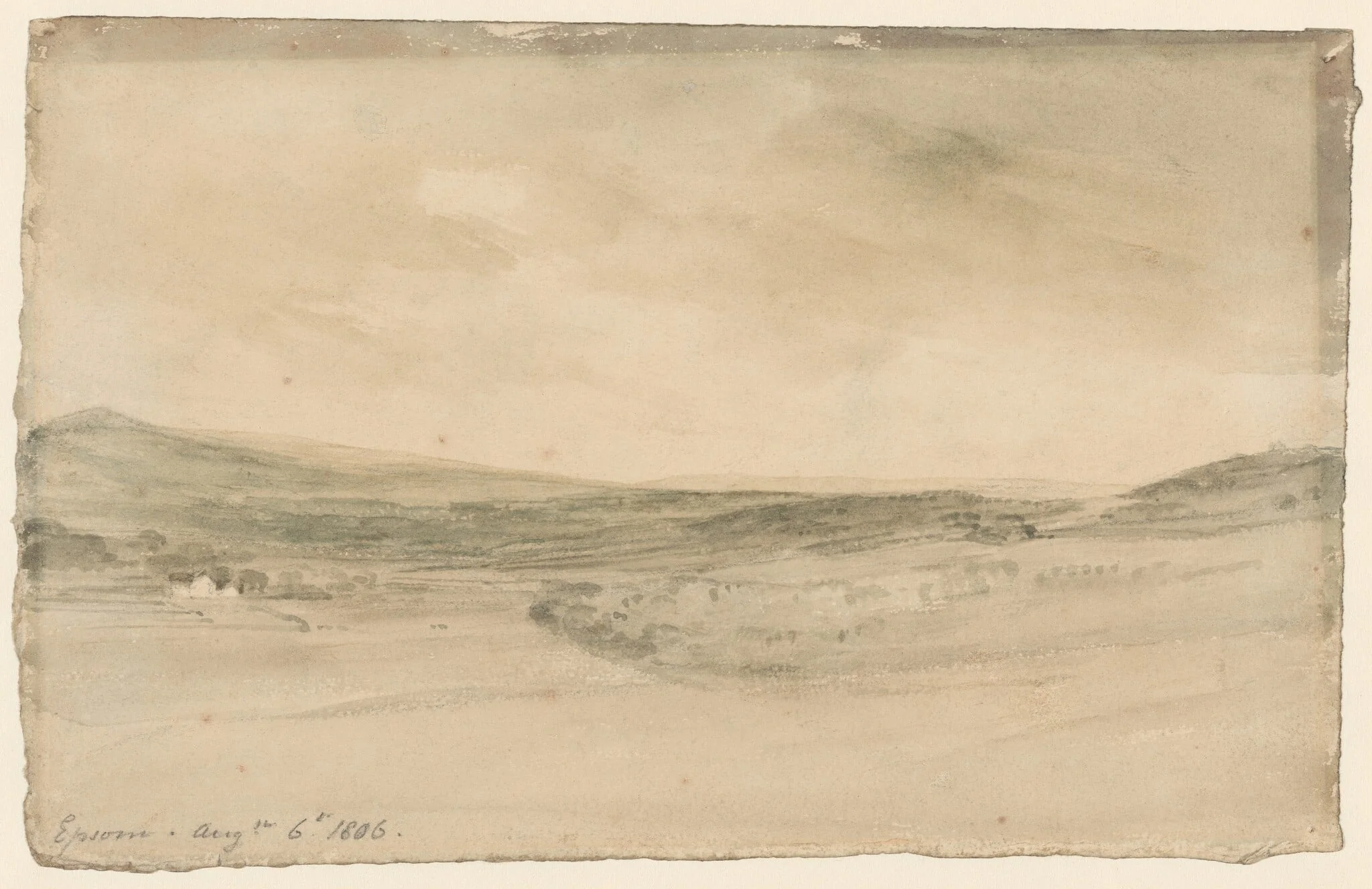 Epsom Heath, detail