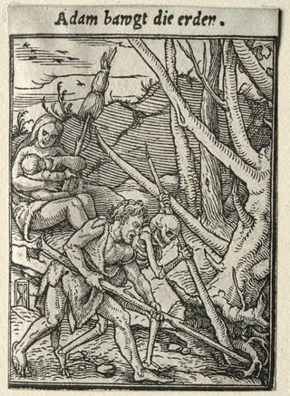Dance of Death:  Adam Tilling the Ground, by Hans Holbein the Younger, 1526