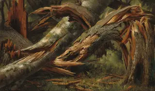 Fallen Tree, by Alexandre Calame