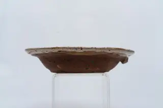 Farfurie adâncă cu buză evazată; este acoperită pe fața interioară cu un strat de angobă albă. Decorul este pictat cu cornul și se compune din motive vegetale și florale stilizate: central, pe fundul farfuriei este pictată o tulpină cu două flori cu petale albastre și frunze realizate cu contur albastru și umplute cu culorile verde și maro, încadrate între două linii circulare albastre. Peretele farfuriei și buza acesteia sunt decorate cu o ghirlandă circulară formată din motive florale (șase flori cu petale alungite) și vegetale stilizate și neglijent realizate. Suprafața ornamentată a farfuriei este acoperită cu un strat de smalț transparent. Cromatica: alb, albastru, verde., 1850